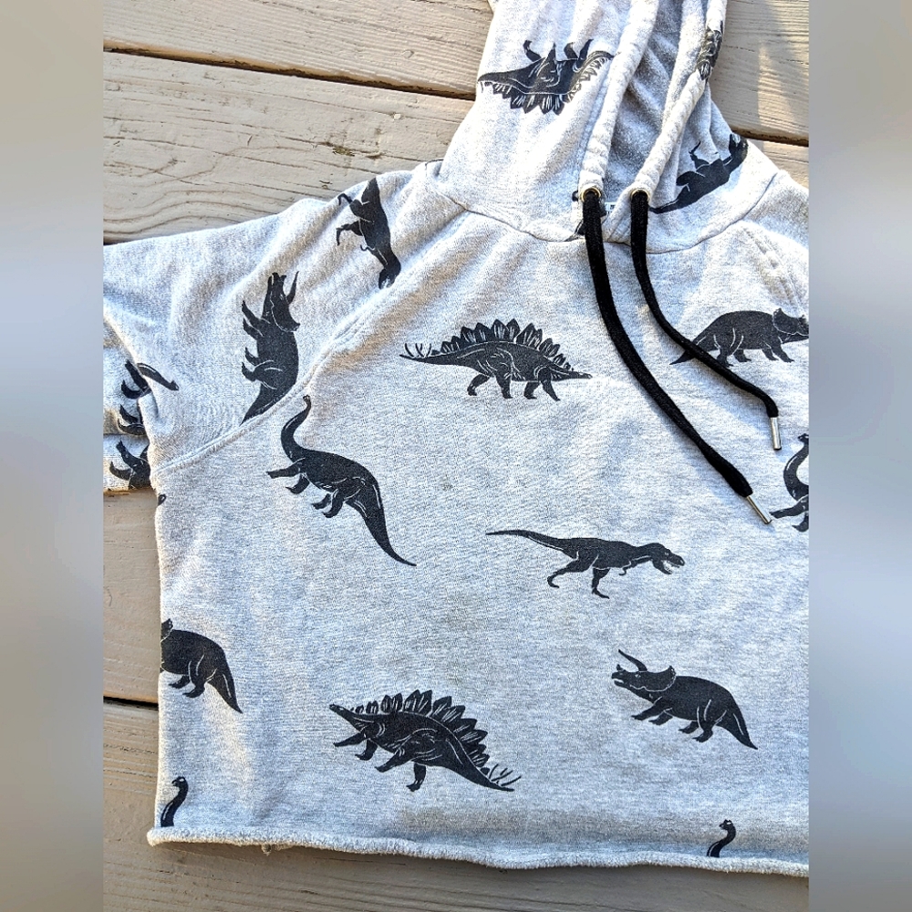 Dinosaur Cropped Sweatshirt Size L